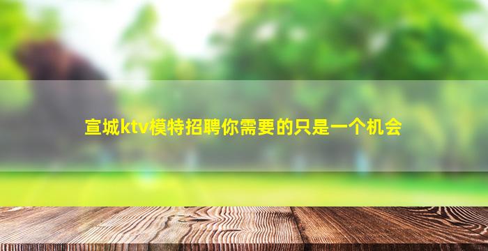 宣城ktv模特招聘你需要的只是一个机会